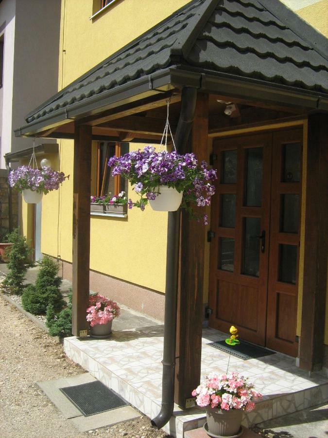 Guesthouse Mario Korenica Exteriör bild
